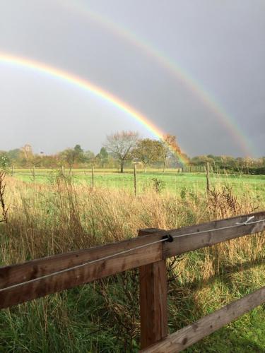 Regenbogen